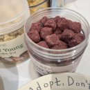 비견 | 강아지동결건조간식추천 비견 올데이베지 후기