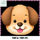왓숑 | 감삼동 애견카페 왓숑프리제 가격 및 후기 추천 리뷰 주차 예약 알아볼까요