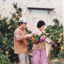 서호동-44 이미지