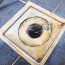 수지에듀파크 이미지