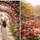 섬진강순환1 이미지