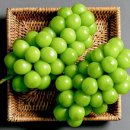 중화농업협동조합 이미지