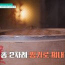 룡룡