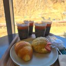 삼리2길 | 양산 내원사 근처 숲뷰 대형카페 아미드포레 아이랑 다녀온 후기