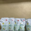 친환경 엘샤론