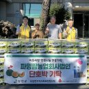 농업사랑팜