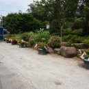 외서면 주민자치위원회 이미지