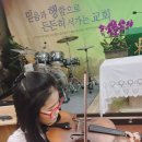 바이올 이미지