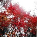 상계근린공원 이미지