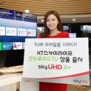 스카이라이프 이미지