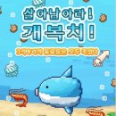 개복치마켓