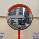 버블세탁전문점 | [블챌 6주차] 부산-서울에서 보낸 추석 이야기