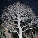 유원농장 이미지