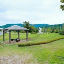 양구 나비야 이미지