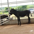 지율목장 이미지