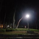 완월동104 이미지