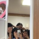 마이댕 이미지