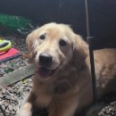 팜스퀘어약국 이미지