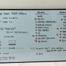 부엉이젤라또