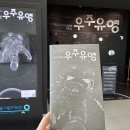 노원 서울시립과학관 특별기획전시회 &lt;언제나 미래였던: 우주유영&gt;