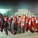 희나리농장 이미지