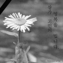 신영휴 Daum카페