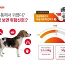 로얄체형관리 이미지