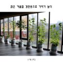 [공지] 산채류 일타강사 교육