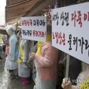 노점28 연합뉴스