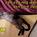 렉스사우나 이미지