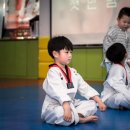 오즈태권도2관 이미지