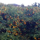 삼성부동산 이미지