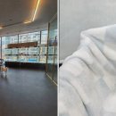 도그마루 강아지고양이 대전점 이미지