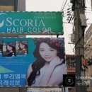 디비아랑긴 뷰티갤러리