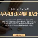 법률사무소율 이미지