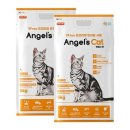 두나펫 코리아 이미지