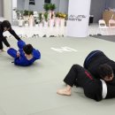 아카데미 체육관 이미지