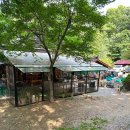 까치카페 - 함안군 | 까치카페