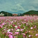 내촌마을 이미지