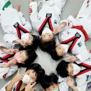 혁신이지태권도전주본관 이미지