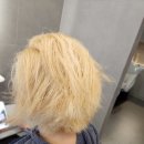 파랑새 미용재료 이미지