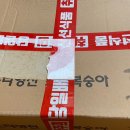 심복농장 이미지