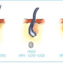 루시아미용실 - 수원시 장안구 | 루시아미용실