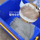 덕진-62 | 전주 회포장 추천 탐라수산, 찰광어 포장 후기(웨이팅⭕️)