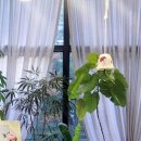 닻별아트 이미지