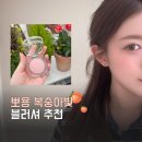 블러셔 추천 피나 더 데이트 블러 치크 멜로우피치 후기, 데일리 블려서 메이크업