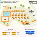 경북 경주캠핑장) 대형 수영장이 있는 별빛은하수캠핑장, ft 사이트, 수영장, 당일캠핑 평상