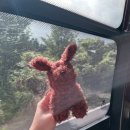 세븐일레븐 제주삼무공원점 | GO 제주도 with 마미(0723~0726) 3-4일차