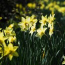 명장2동-19 이미지