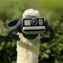 나폴리피자 이미지